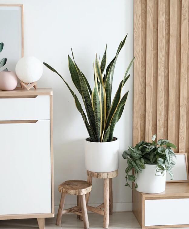 Add a touch of nature
