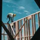 Guide to Landed Property Construction in Singapore