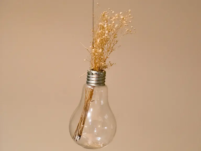 Flexibility and Innovation